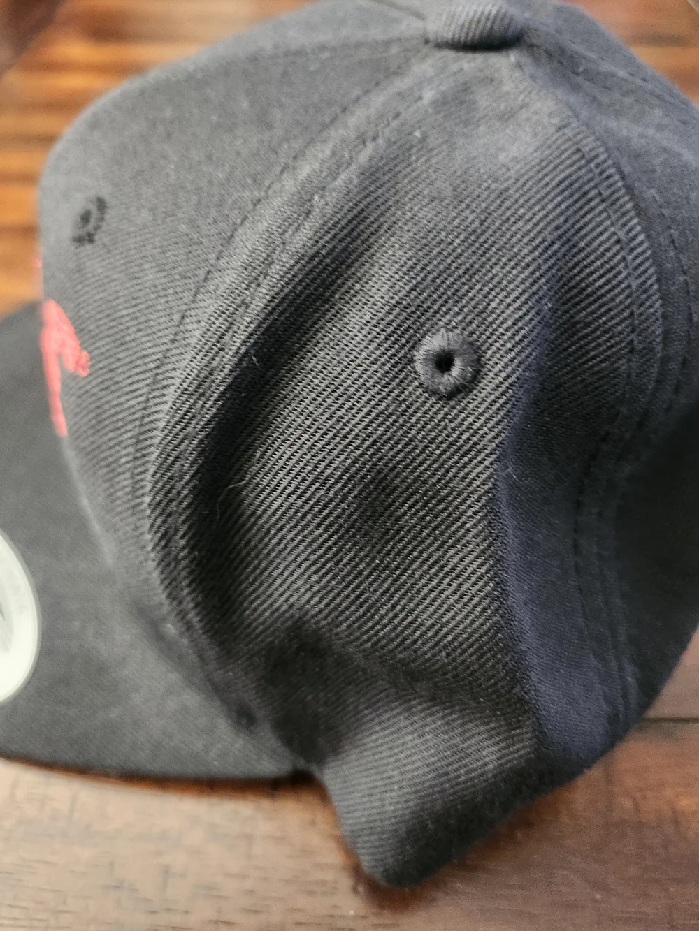 D.A.R.E. Snapback One Size New